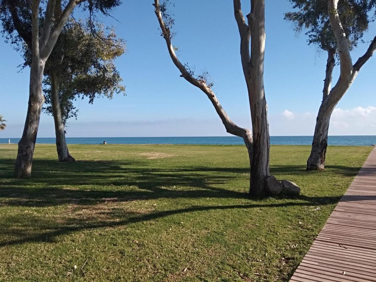 Acv - Costa Marina II - 1ª Linea Planta 6 Sur Διαμέρισμα Oropesa del Mar Εξωτερικό φωτογραφία