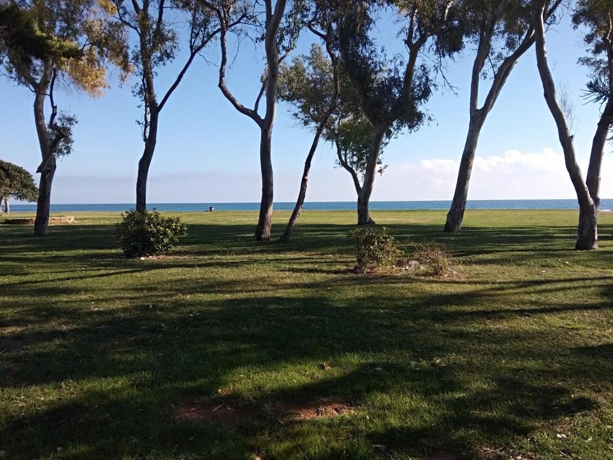 Acv - Costa Marina II - 1ª Linea Planta 6 Sur Διαμέρισμα Oropesa del Mar Εξωτερικό φωτογραφία